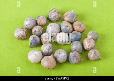 Thailand Organic Garlic Tone healthy food ingredient Green background Stock Photo