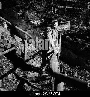 Der Schatz vom Toplitzsee, aka Schüsse im Morgengrauen, Kriminalfilm, Deutschland 1959, Regie: Franz Antel, Mitglied der Filmcrew Stock Photo