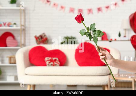 Female hand holding red rose in living room, closeup. Valentine's Day celebration Stock Photo