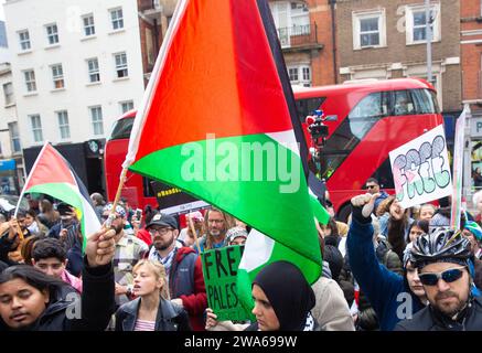 Pro-Palestinian Protesters Gather With Flags And Placards During A ...