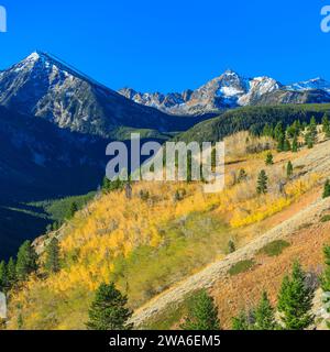 fall colors in the spanish peaks section of the madison range in the lee metcalf wilderness near gallatin gateway, montana Stock Photo