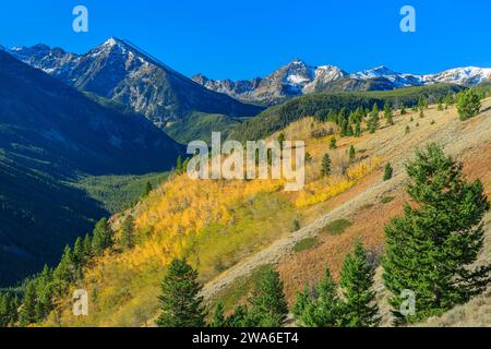 fall colors in the spanish peaks section of the madison range in the lee metcalf wilderness near gallatin gateway, montana Stock Photo