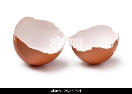 Pair of brown empty egg shells close up isolated on white background Stock Photo