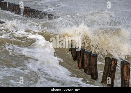 Wave crashing into wooden groyne / breakwater to avoid beach sand erosion during winter storm along North Sea coast in Zeeland, Netherlands Stock Photo