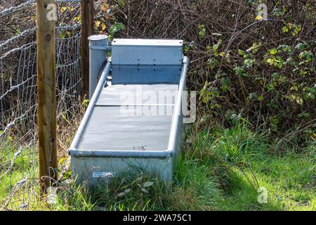 Cattle trough filled with drinking water for grazing livestock on a UK nature reserve Stock Photo