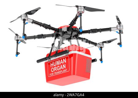 Drone with portable fridge for transporting donor organs, Express delivery for hospitals. 3D rendering isolated on white background Stock Photo