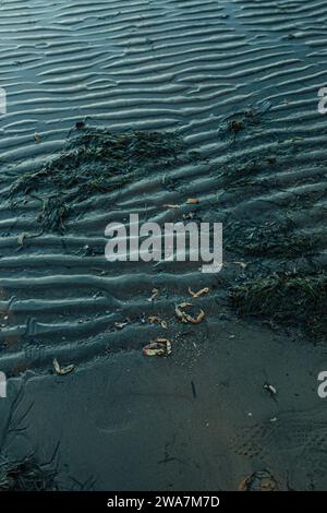 sand waves, dark blue ripples in sand on Pacific Northwest beach Stock Photo