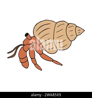 Vector hand drawn doodle sketch colored hermit crab isolated on white background Stock Vector