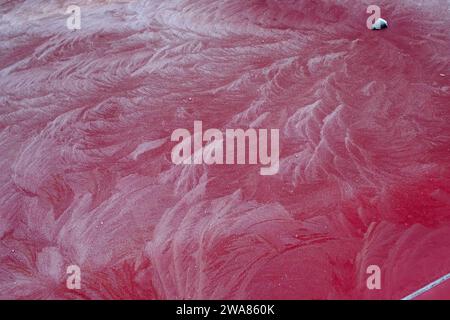 intricate frost patterns form leaf like fronds on car bonnet zala county hungary Stock Photo