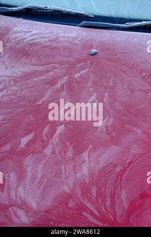 intricate frost patterns form leaf like fronds on car bonnet zala county hungary Stock Photo