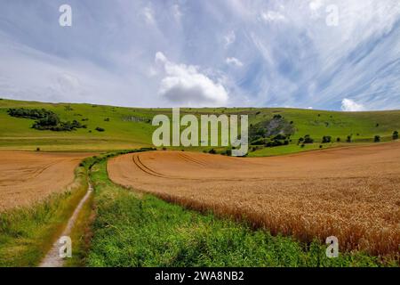 View of the Long Man of Wilmington and South Downs across Countryside Stock Photo