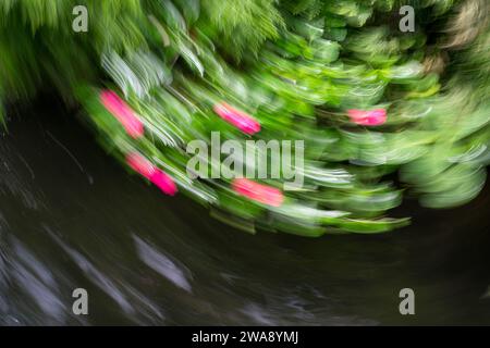 Floral abstract as nature background. ICM intentional camera movement effect. Copy space. Stock Photo
