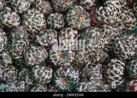Blackcap raspberries Stock Photo
