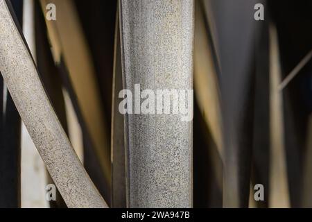 The passage of time and the beauty found in every phase of dried palm fronds and abstract of nature's art. Stock Photo