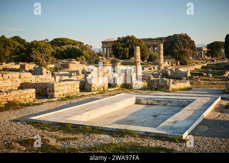 Ancient ruins and structures of an ancient temple surrounded by trees, summer evening mood in Paestum, ancient town, 35 km south of Salerno.Founded by Stock Photo