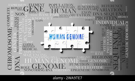 Human genome - a complex subject, related to many concepts. Pictured as a puzzle and a word cloud made of most important ideas and phrases related to Stock Photo