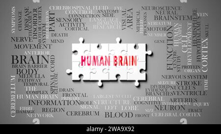 Human brain - a complex subject, related to many concepts. Pictured as a puzzle and a word cloud made of most important ideas and phrases related to h Stock Photo