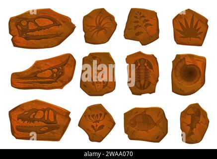Ancient dinosaur fossil, fish skeleton and plant imprint in stone. Vector archaeological dig set. Dino footprints, sea animals, and mollusk shells in ancient stone pieces, prehistoric evolution items Stock Vector