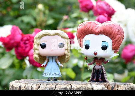 Funko Pop action figures of Red Queen and Alice in Wonderland. Red and white roses, green leaves, summer flower garden, wooden stump. Stock Photo