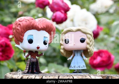 Funko Pop action figures of Red Queen and Alice in Wonderland. Red and white roses, green leaves, summer flower garden, wooden stump. Stock Photo