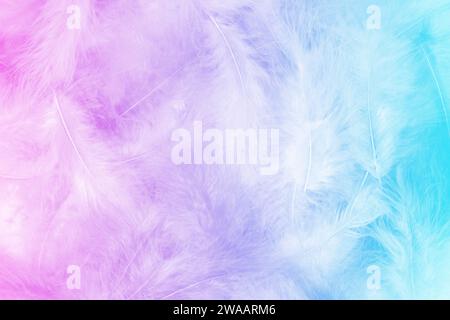 Close up photo of fluffy feathers pile. Sweet pastel colorful background with pink to blue gradient. Light, serenity, purity, clarity. Stock Photo