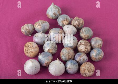 Thailand Organic Garlic Tone healthy food ingredient rustic violet background Stock Photo