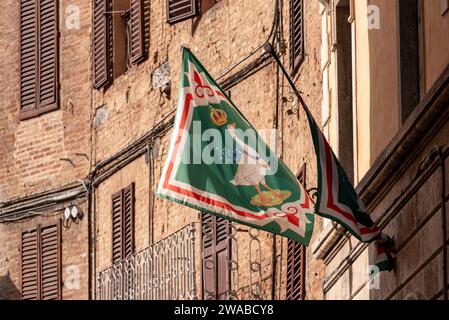 Contrade flags of the Oca-Goose city district hanging in a street in downtown Siena, Italy Stock Photo