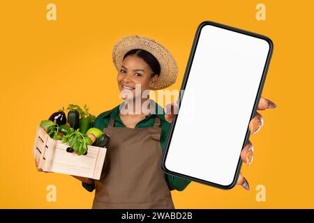 Black Lady Holding Cell Phone And Box With Vegetables Stock Photo