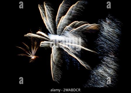 Fireworks lighting up the night sky. Pyrotechnics, abstract Stock Photo