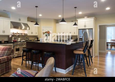 Large Modern kitchen, features state of the art appliances and recessed lighting, South Carolina, USA, Stock Photo