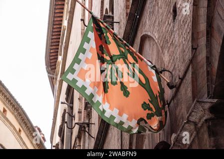 Contrade flag of the Selva-Rhino city district hanging in a street in downtown Siena, Italy Stock Photo