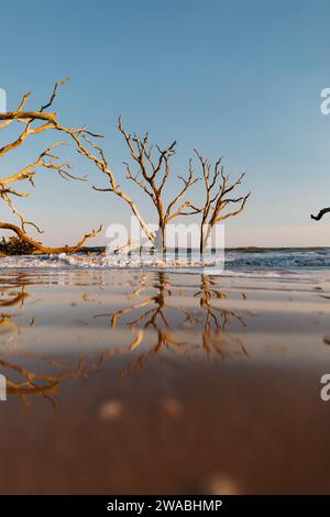 Boneyard Beach in South Carolina at sunset. Stock Photo