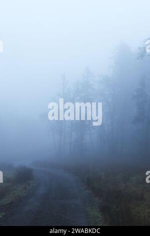 A road winding through a foggy forest. Stock Photo