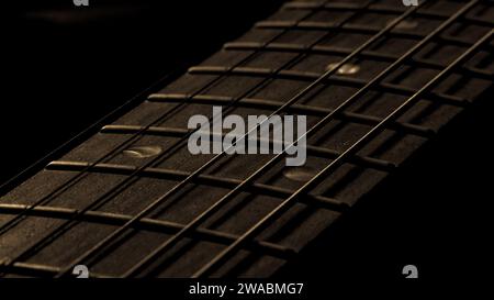 Stratocaster Fret Board Stock Photo