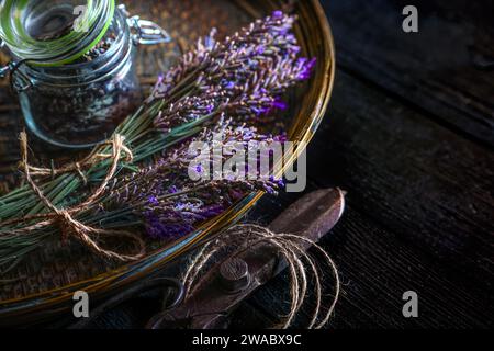 Harvested fresh lavendar with seeds in glass jar  in a bamboo tray and sciccors and jute twine Stock Photo