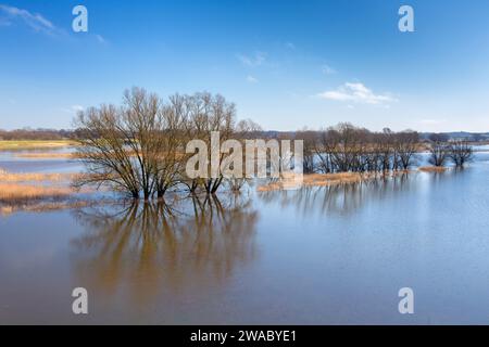 Flooded river bank / riverbank at the Lower Saxon Elbe Valley Biosphere Reserve in winter, Lower Saxony / Niedersachsen, Germany Stock Photo