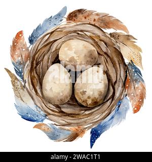 Hand-Painted Watercolor Depicts Nest With Eggs And Beautiful Feathers Stock Vector