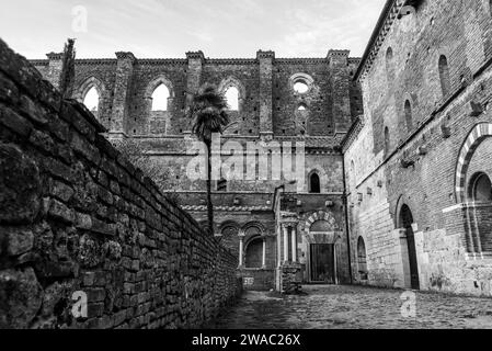 Ruin of the medieval Cistercian monastery San Galgano in the Tuscany, Italy Stock Photo