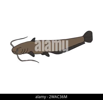Vector hand drawn doodle sketch colored catfish fish isolated on white background Stock Vector
