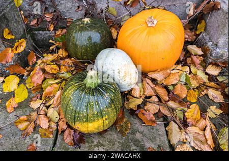 Pumpkins used as a halloween arrangement, Enniskillen, Ireland Stock Photo