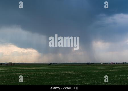 Rain Storm Clouds Stunning Landscape Over Prairie, Alberta Canada Stock Photo