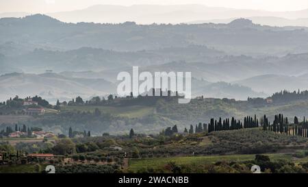 Typical Tuscan landscape with hills and cypresses in the very early morning near Montaione, Italy Stock Photo