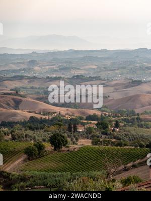 Typical Tuscan landscape with hills and cypresses in the very early morning near Montaione, Italy Stock Photo