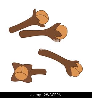 Dried cloves, spice from the flower bud of Syzygium aromaticum, isolated on white background. clove spice cartoon. food ingredients. Vector illustration Stock Vector
