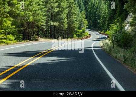 Empty road leading through forest Stock Photo