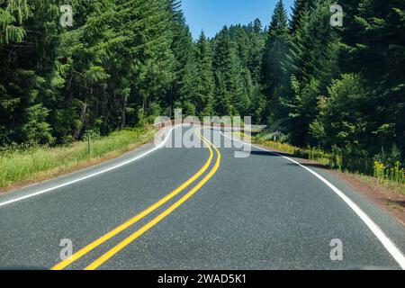 Empty road leading through forest Stock Photo