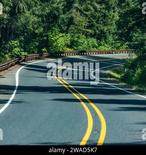 Empty road leading through forest Stock Photo
