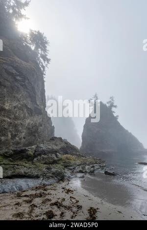 USA, Oregon, Brookings, Rocky coastline on misty day Stock Photo