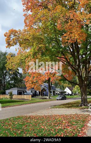 Glen Ellyn, Illinois, USA. Autumn arrives in suburban Chicago evidenced by the turning colors of tree leaves and the accumulation of fallen leaves. Stock Photo