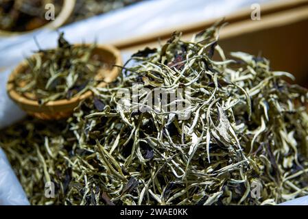 Close-up of high-end Chinese tea for sale in tea shop Stock Photo